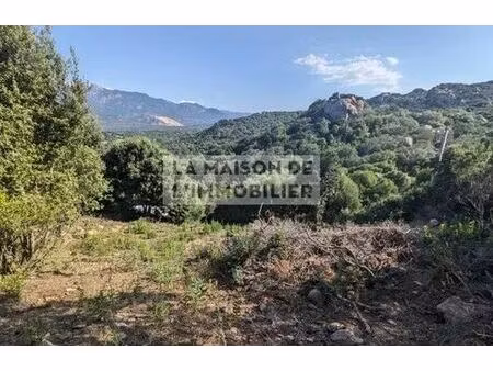 terrain de 8400 m2 - figari  france