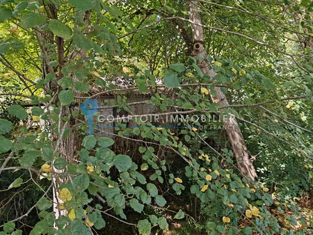 garage auriac-sur-vendinelle (31460)