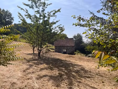 vente maison 1 pièce 20 m² à beaulieu-sur-dordogne (19120)  72 345 €