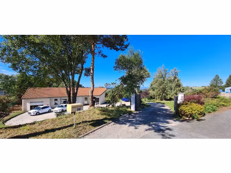 achat local professionnel 163m² st just malmont 43240