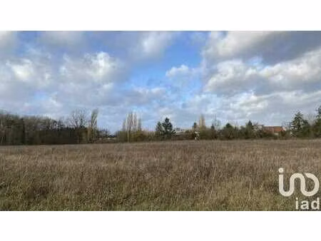 vente terrain à la cour-marigny (45260) : à vendre / 1913m² la cour-marigny