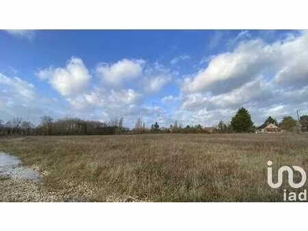 vente terrain à la cour-marigny (45260) : à vendre / 2007m² la cour-marigny