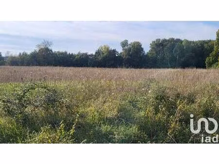 vente terrain à la cour-marigny (45260) : à vendre / 2232m² la cour-marigny
