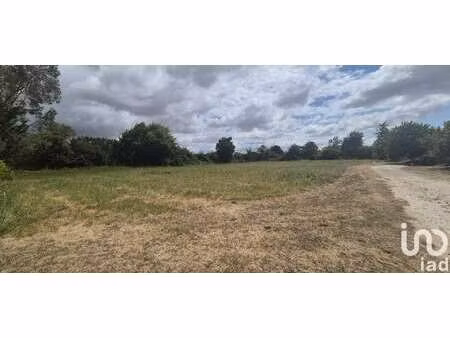 vente terrain à bernay-saint-martin (17330) : à vendre / 3724m² bernay-saint-martin