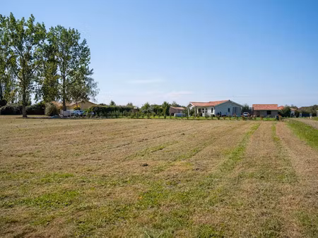 vente maison neuve 5 pièces 137 m² à latrille (40800)  406 740 €