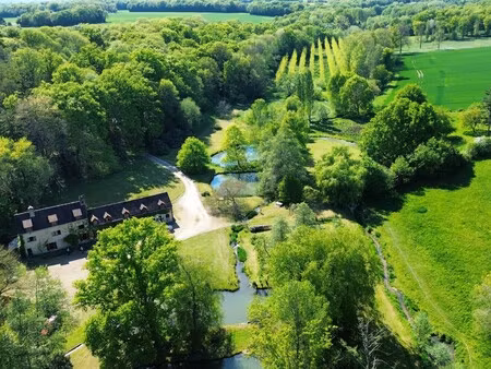 moulin à vendre à luigny