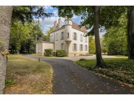 château à vendre à saint-julien-de-coppel