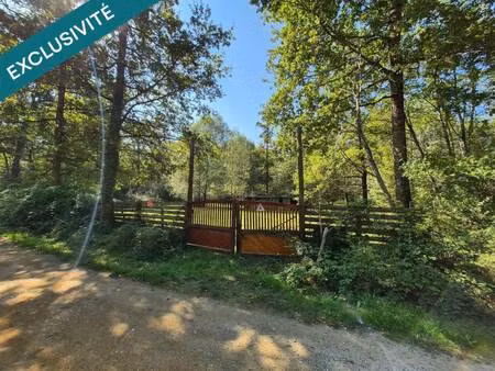 safti beudin bruno conseiller indépendant