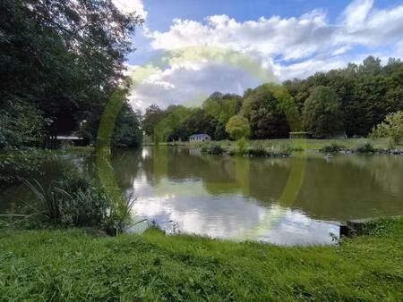 theodorou naomi immoreseau