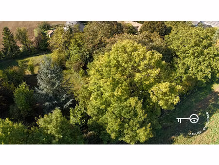 1031 m² constructibles calme absolu et charme arboré