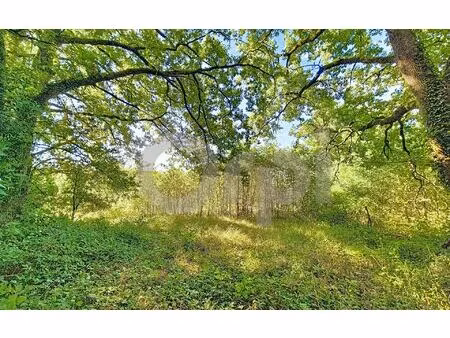 terrain thenon m² t- à vendre  24 000 €