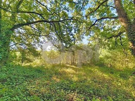 terrasson immobilier