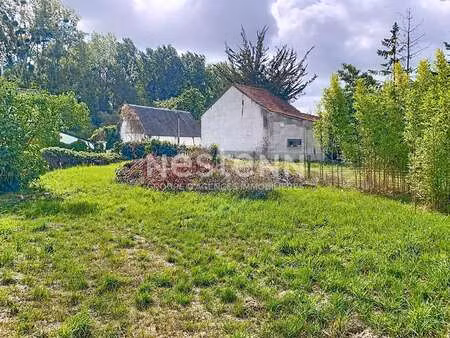 vente terrain à briollay (49125) : à vendre / 878m² briollay