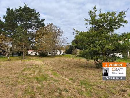 vente terrain à corcoué-sur-logne (44650) : à vendre / 633m² corcoué-sur-logne