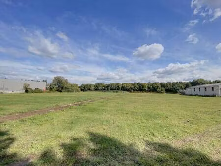 vente terrain à villevêque (49140) : à vendre / villevêque