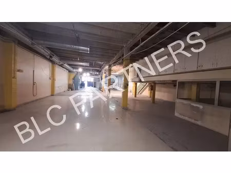 local d'activite a louer