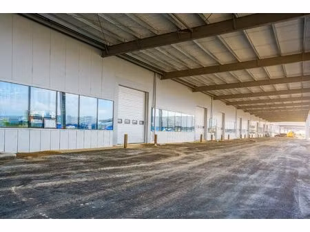 local d'activité / local commercial 1800m² - plescop vannes (5