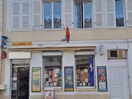 vente locaux professionnels 100 m² à villeneuve-l'archevêque (89190)  330 000 €