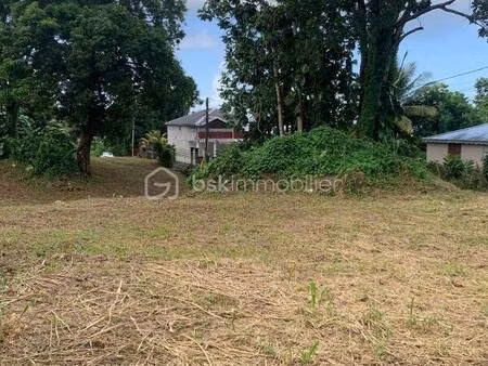 terrain constructible viabilisé à vendre