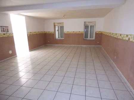 vente immeuble 9 pièces 345 m² à cirey-sur-vezouze (54480)  189 000 €