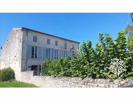 immeuble hyper centre 5 locaux distincts