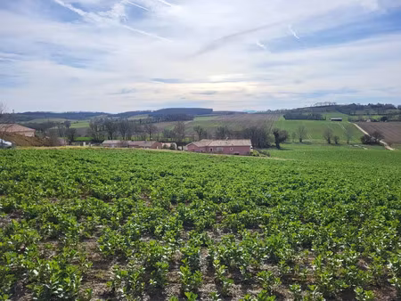 vente terrain 2250 m² puycasquier (32120)