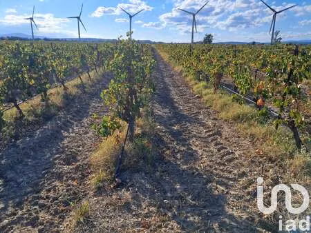 vente terrain à canet (11200) : à vendre / 29000m² canet