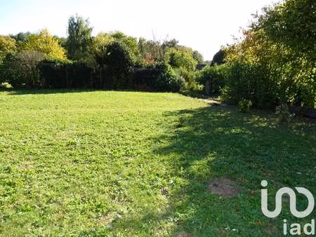 vente terrain à la chapelle-d'aligné (72300) : à vendre / 752m² la chapelle-d'aligné