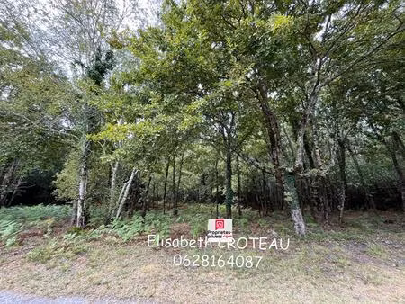 terrain 2950 m2 zone n sanguinet 40460