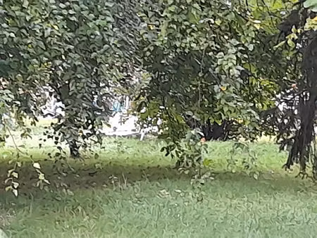 vente terrain 770 m² goincourt (60000)