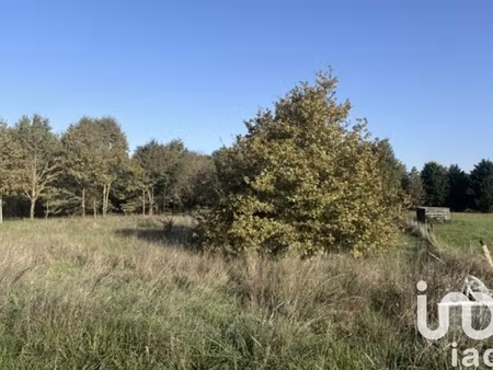 vente terrain 3 000 m²