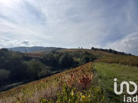 vente maison 5 pièces 280 m² quincié-en-beaujolais (69430)