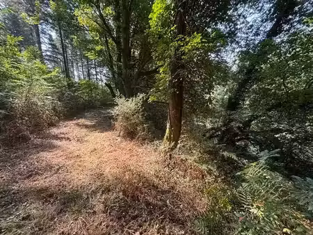 vente terrain 4270 m² à dournazac (87230)  25 000 €