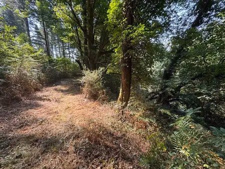 vente terrain 4270 m² à dournazac (87230)  35 000 €