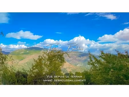 à vendre terrain 750m²  canaja  campile  haute-corse (20)