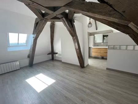 vente immeuble 0 pièces à descartes (37160)  129 600 €