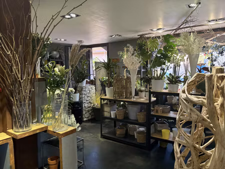 une activité de fonds de commerce florissante   centre de cr