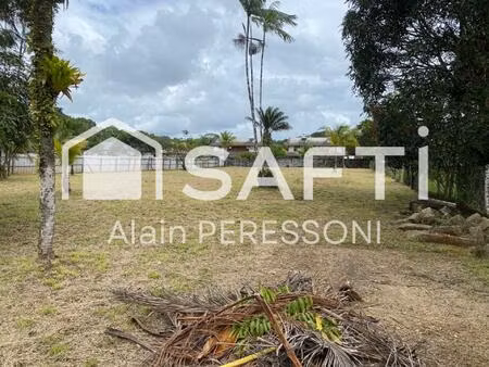 terrain constructible 2436m2 (1117 + 1319)