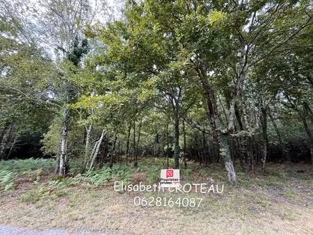 achat terrain 2 949m² sanguinet 40460