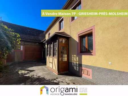 achat maison 7 pièces 133m² griesheim pres molsheim 67870