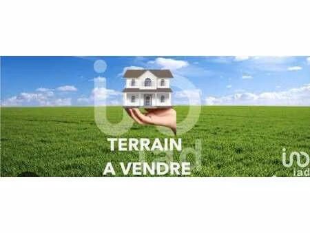 vente terrain à pruniers-en-sologne (41200) : à vendre / 4130m² pruniers-en-sologne