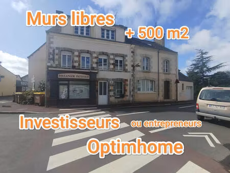 vente immeuble 512 m² avessac (44460)