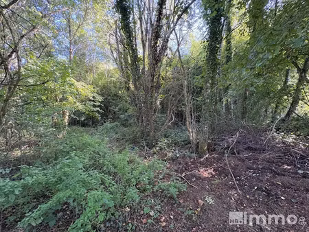 vente terrain 1288 m² à nantiat (87140)  2 000 €