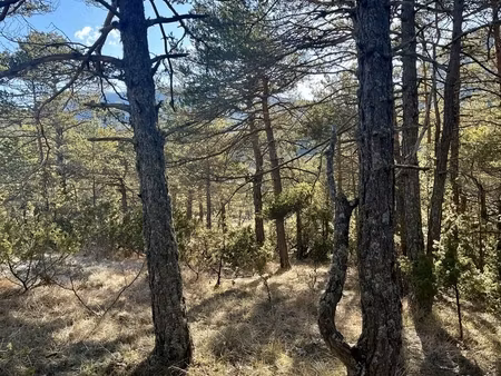 vente terrain 2 500 m²