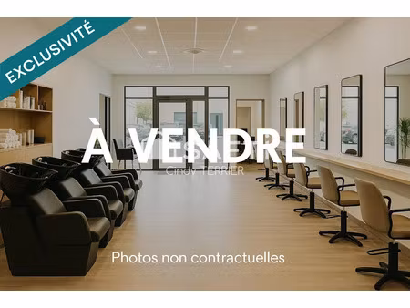 vente locaux professionnels 100 m² à rives sur fure (38140)  125 000 €