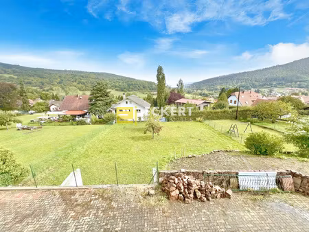 vente en viager occupé a grendelbruch  spacieuse maison ave