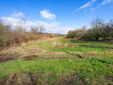 terrain à vendre à septon € 95.000 (lextl) - era b-lux (marche-en-famenne) | zimmo