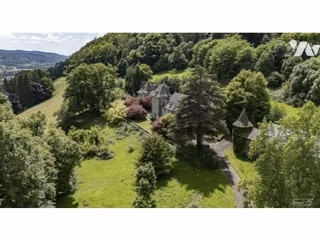 maison de luxe à vendre à vic-sur-cère