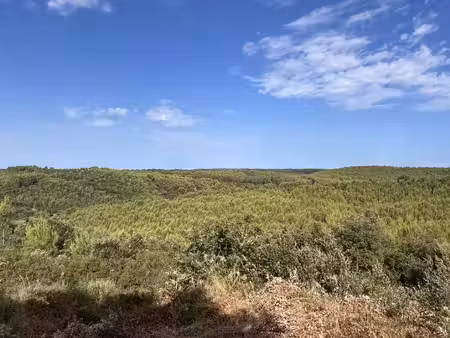 terrain à vendre