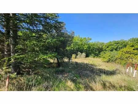 terrain à vendre